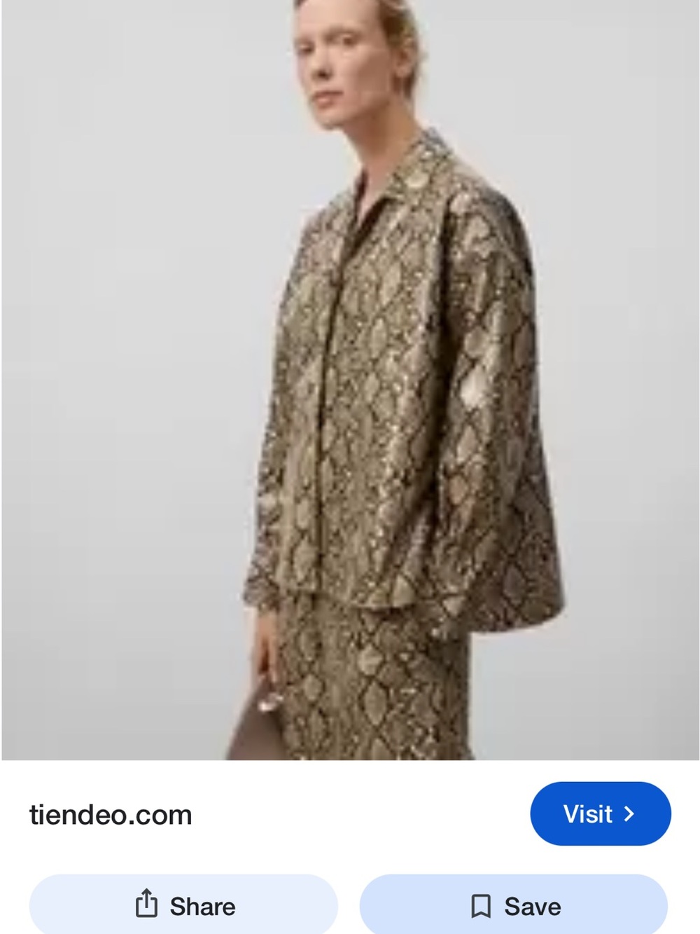 Adolfo Dominguez Taupe Snake-Print Button Jacket